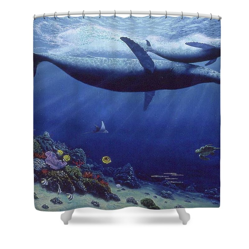 Baby Humpback - Shower Curtain - visitors