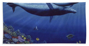 Baby Humpback - Beach Towel - visitors