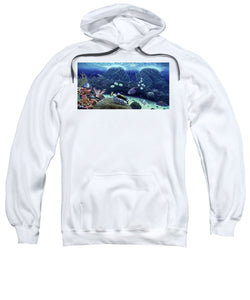 Clown Fish - Sweatshirt - visitors