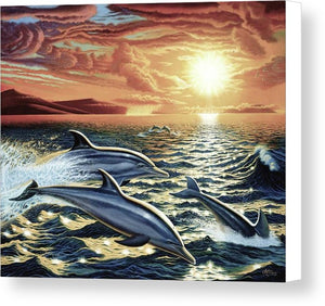 Dolphin Dream - Canvas Print - visitors