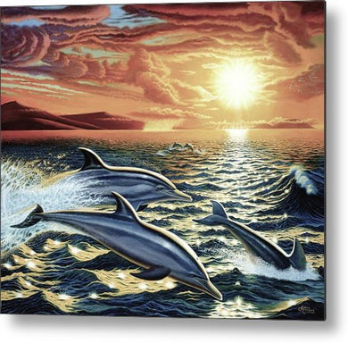 Dolphin Dream - Metal Print - visitors