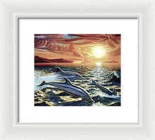 Dolphin Dream - Framed Print - visitors