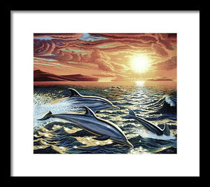 Dolphin Dream - Framed Print - visitors