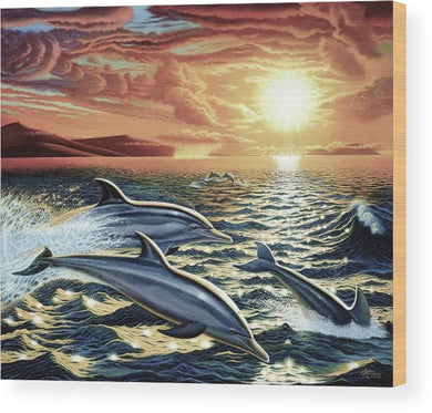 Dolphin Dream - Wood Print - visitors
