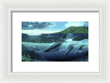 The Great Whales - Framed Print - visitors