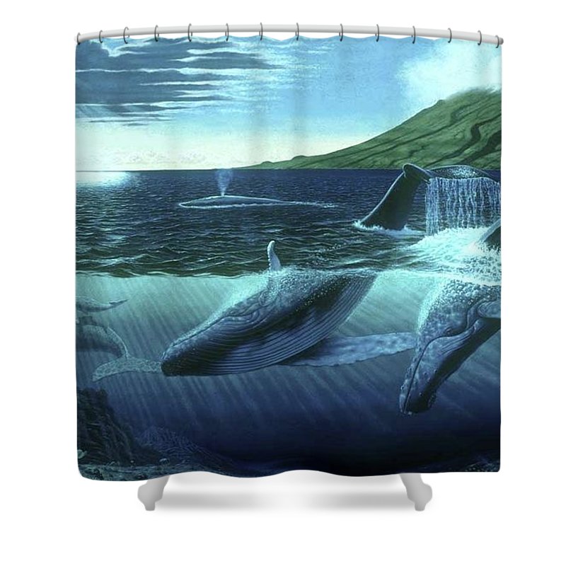 The Great Whales - Shower Curtain - visitors