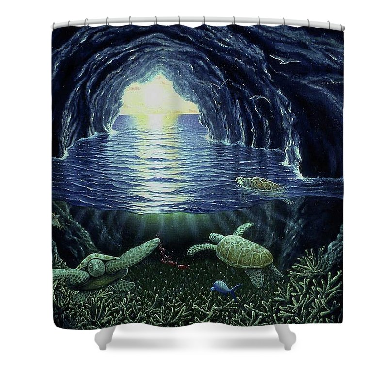 Turtle Cave - Shower Curtain - visitors